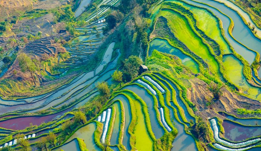 宝妈必备神器：葫芦岛产品视频拍摄轻松育儿好帮手