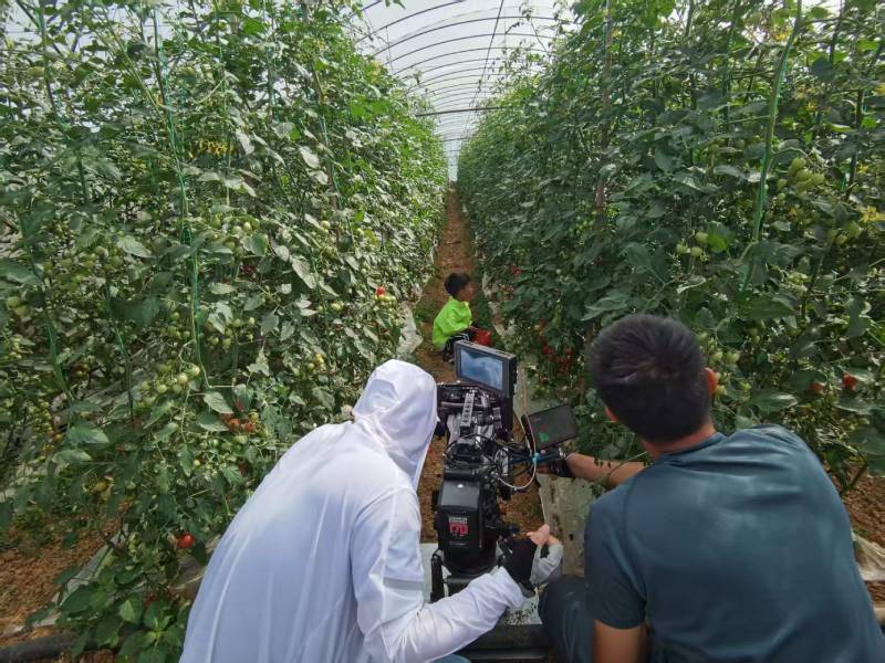 葫芦岛产品宣传视频拍摄公司进阶指南，助力品牌抢占传播高地